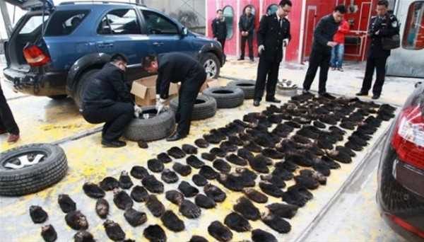 Polisleri şok eden baskınlar