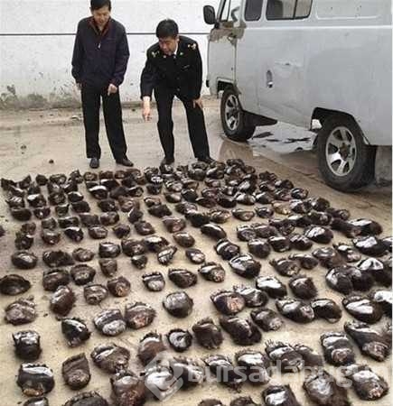 Polisleri şok eden baskınlar