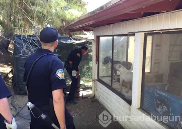 Polisleri şok eden baskınlar