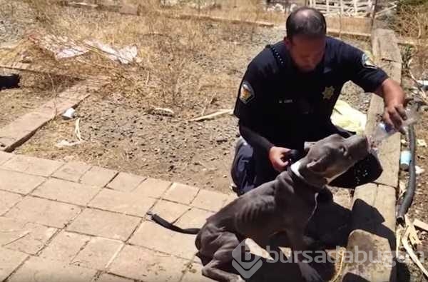 Polisleri şok eden baskınlar