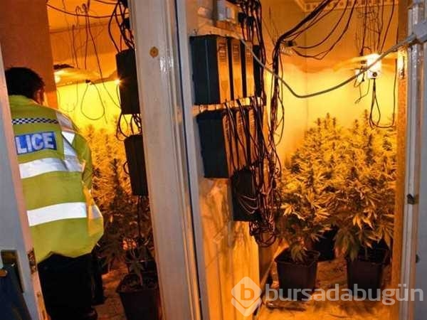 Polisleri şok eden baskınlar