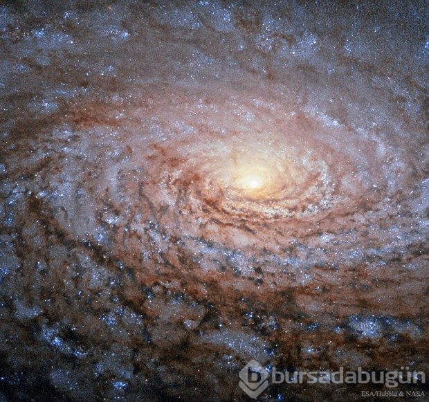 Evreni keşfedin (Günün astronomi fotoğrafı)