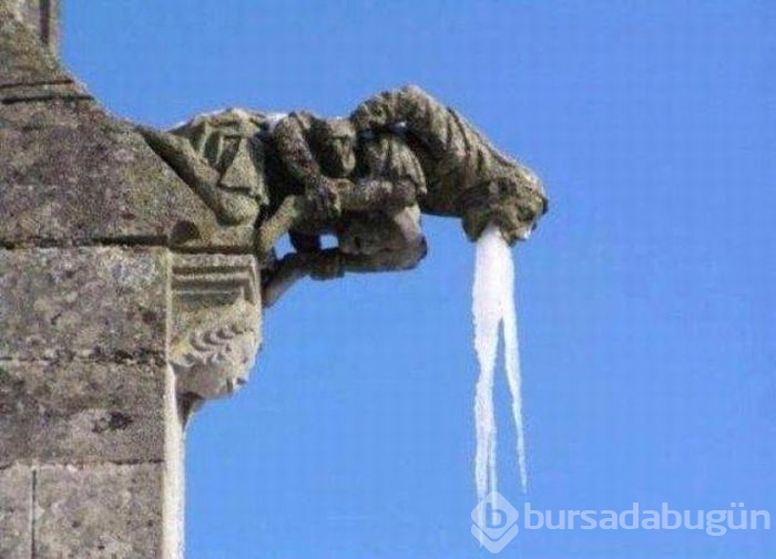 Günün ilginç kareleri.