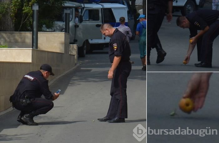 Günün ilginç kareleri.