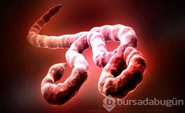 Hastalık isimlerinin nereden geldiğini biliyor musunuz?