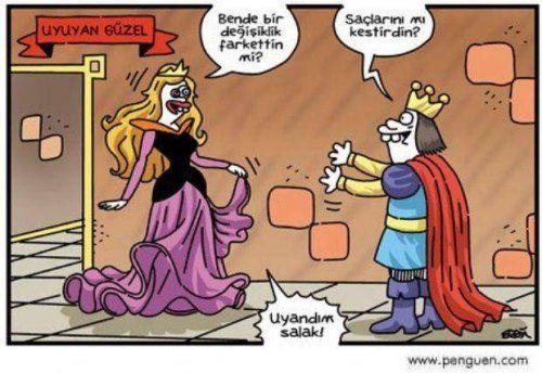 Rekor kıran karikatürler