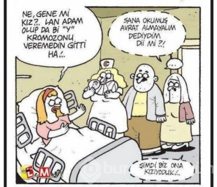 Rekor kıran karikatürler