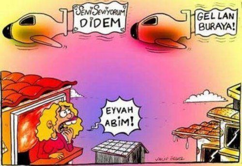 Rekor kıran karikatürler