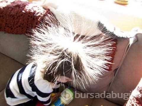 Günün en çok paylaşılan fotoğrafları