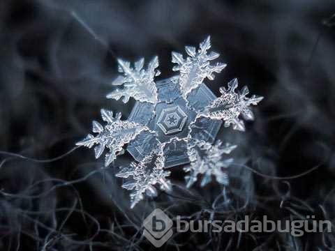 Günün en çok paylaşılan fotoğrafları