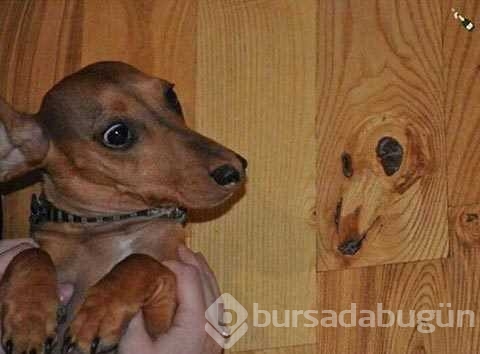 Günün en çok paylaşılan fotoğrafları