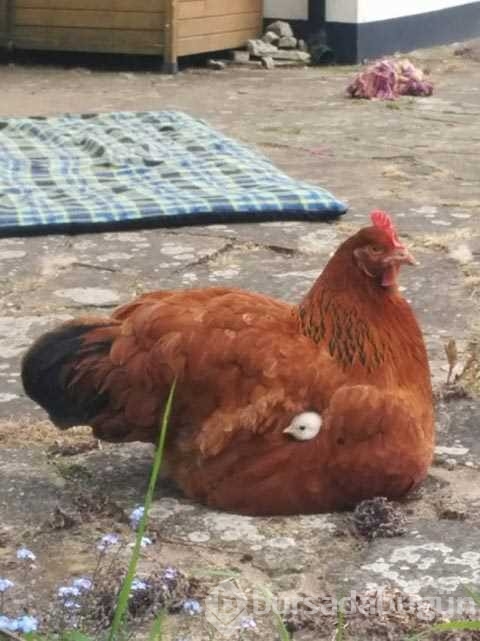Günün en çok paylaşılan fotoğrafları