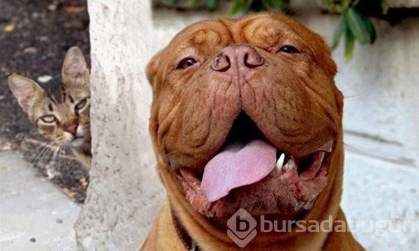 Bu olay interneti salladı!