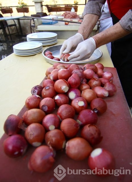 Gribin 'ilacı' soğan kebabı