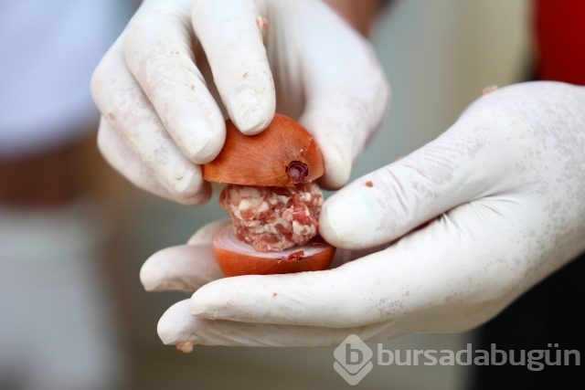 Gribin 'ilacı' soğan kebabı