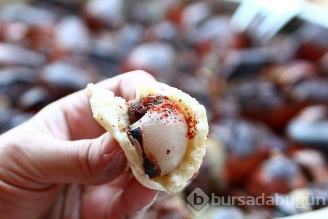Gribin 'ilacı' soğan kebabı