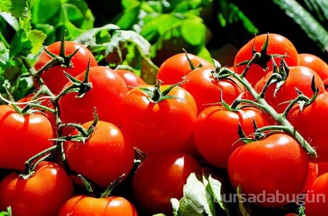 Bu besinler kansere karşı