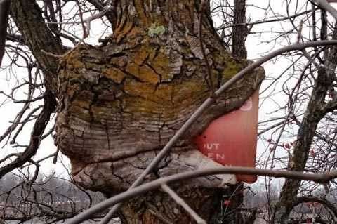 Günün en çok paylaşılan fotoğrafları