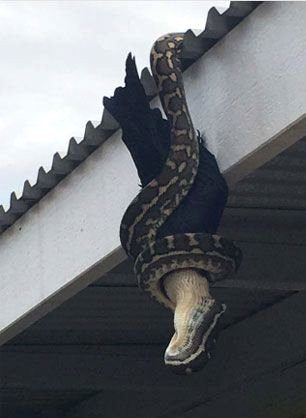 Doğanın ürkütücü olduğunu gösteren fotoğraflar