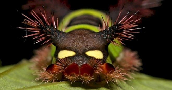Doğanın ürkütücü olduğunu gösteren fotoğraflar