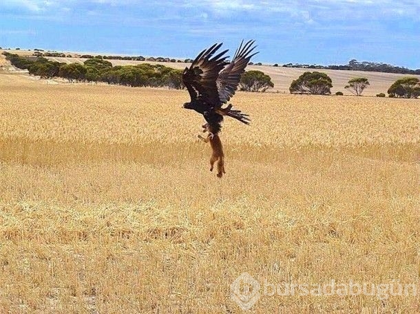 Doğanın ürkütücü olduğunu gösteren fotoğraflar