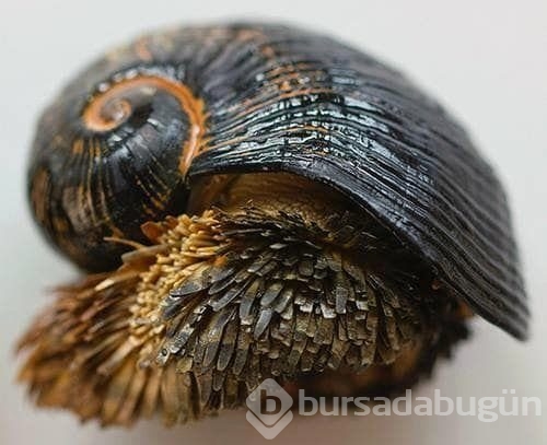 Doğanın ürkütücü olduğunu gösteren fotoğraflar