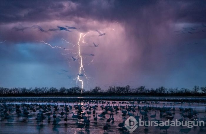 Yüz binlerce fotoğraf arasından seçildi