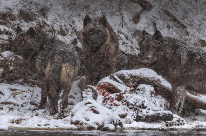 Yüz binlerce fotoğraf arasından seçildi