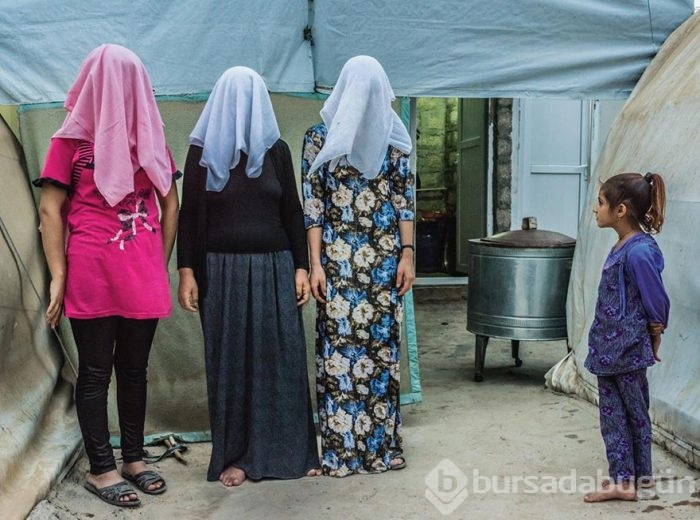 Yüz binlerce fotoğraf arasından seçildi