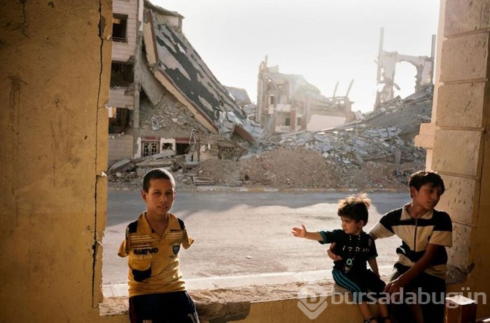 Yüz binlerce fotoğraf arasından seçildi