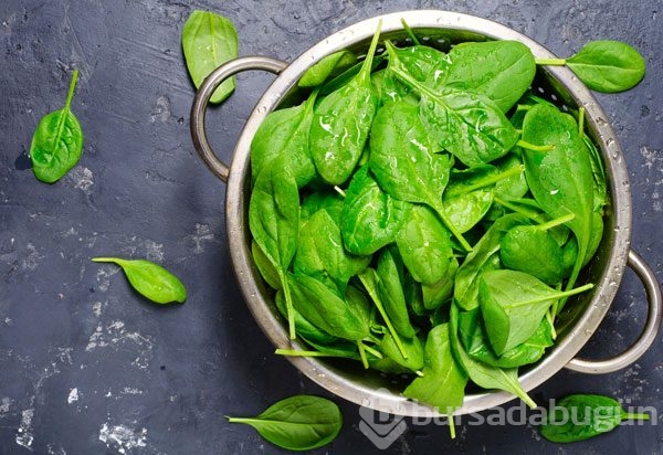 7 Aralık günün menüsü (Sulu yemek tarifleri)