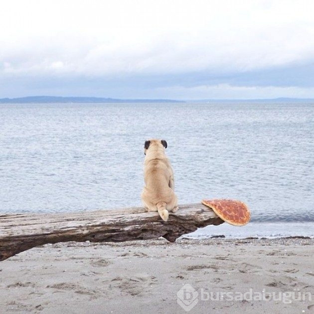 Köpeğiyle dünyayı geziyor