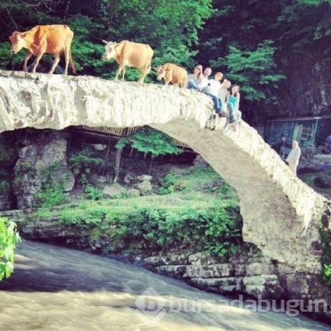 Bu fotoğraflar Photoshop değil gerçek!
