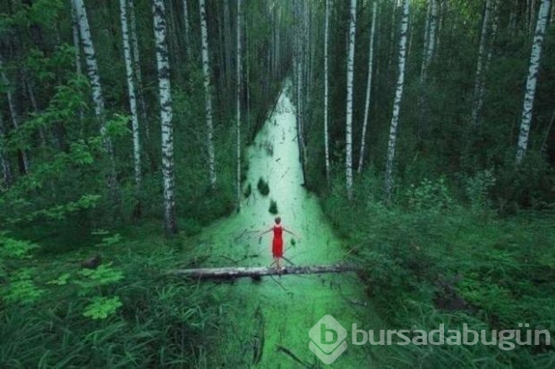 Bu fotoğraflar Photoshop değil gerçek!