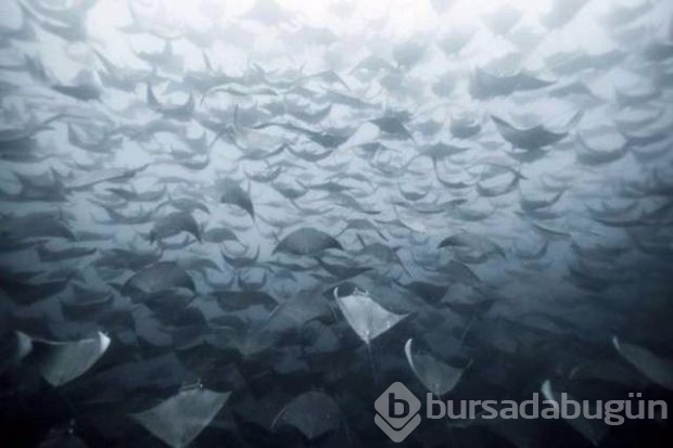 Bu fotoğraflar Photoshop değil gerçek!
