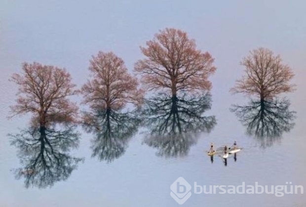 Bu fotoğraflar Photoshop değil gerçek!