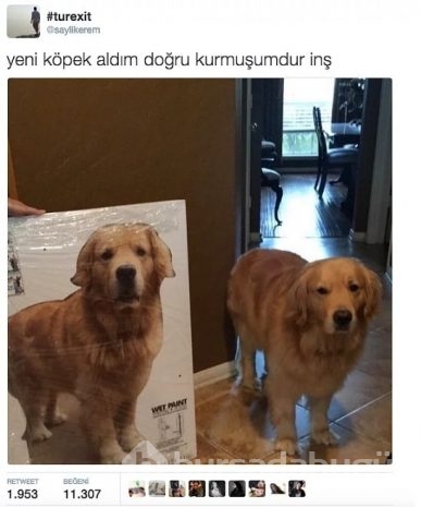 2016'nın en iyi tweetleri güldürüyor