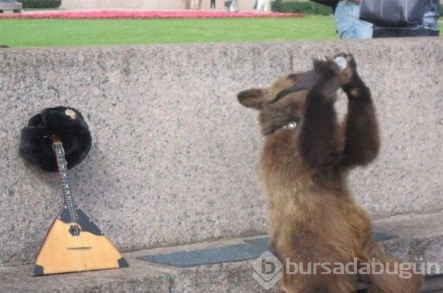 Ruslar yurdum insanını aratmıyor