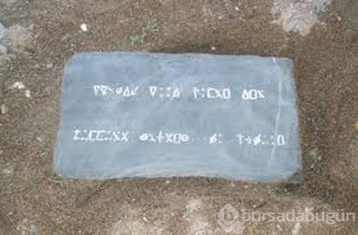 Oak Adası'nın laneti