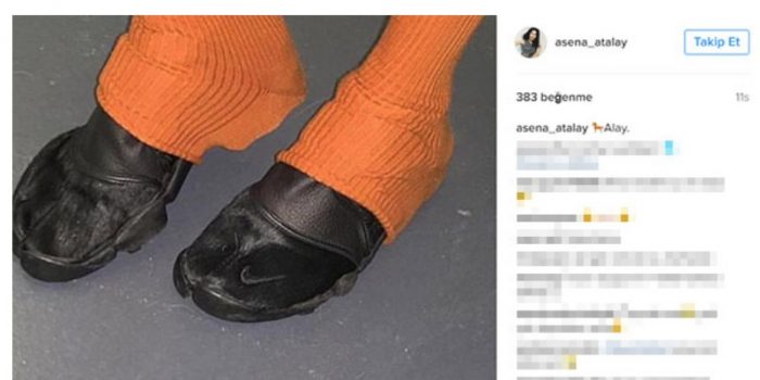 Asena işi abarttı şu haline bakın