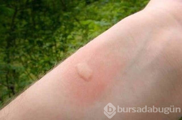 Bu bilgiler çok işinize yarayacak