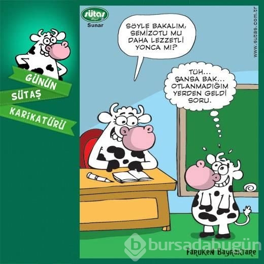 Günün sütaş karikatürü