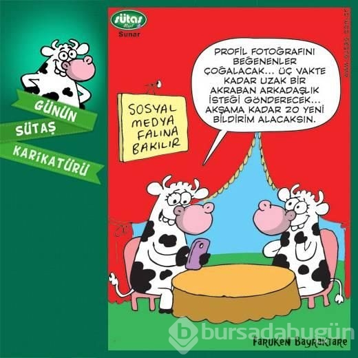 Günün sütaş karikatürü