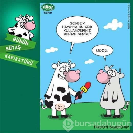 Günün sütaş karikatürü