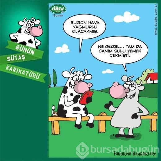 Günün sütaş karikatürü