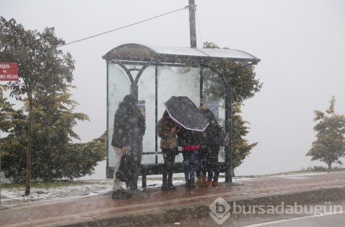 Hangi illerde okullar tatil?