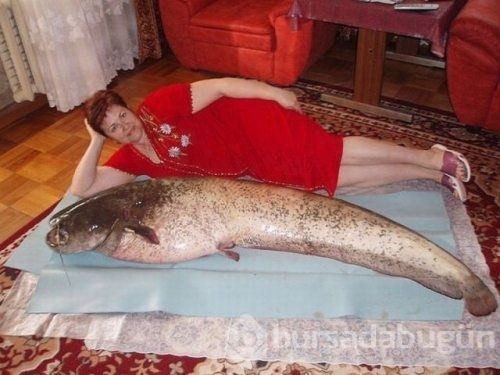 Sadece Rusya'da görebileceğiniz ilginç kareler