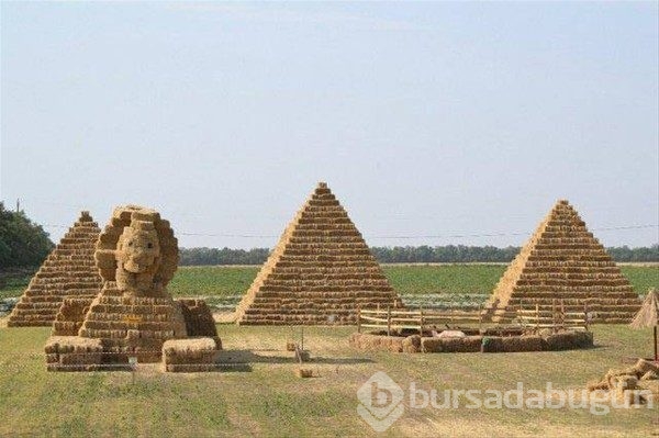 Sadece Rusya'da görebileceğiniz ilginç kareler