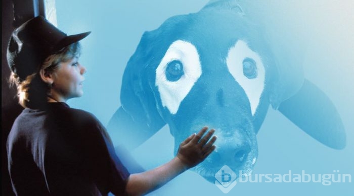 Photoshop savaşı başlatan sevimli köpek