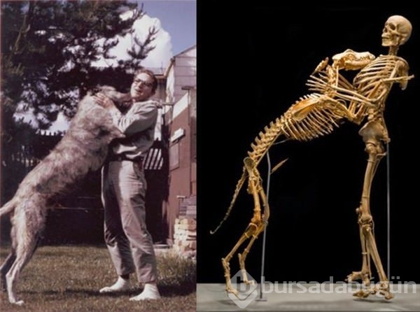 Dünyadan ilginç fotoğraflar
